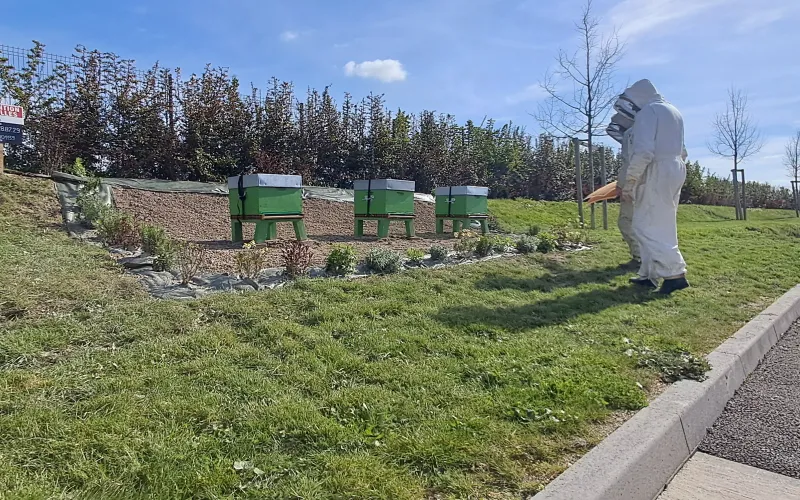 Le printemps est enfin là !